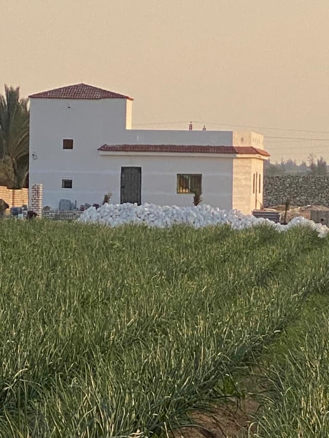 أرض زراعية للبيع