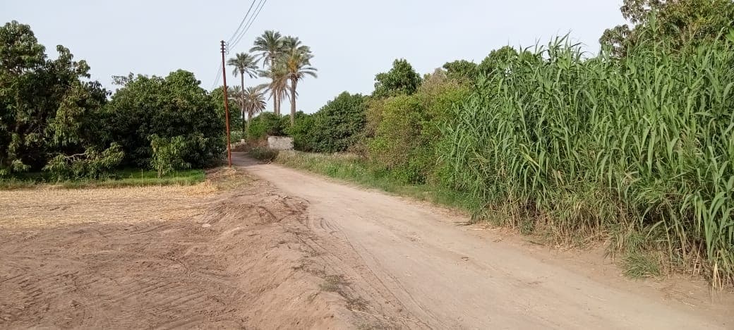 4 acres of agricultural land for sale in Ismailia  0
