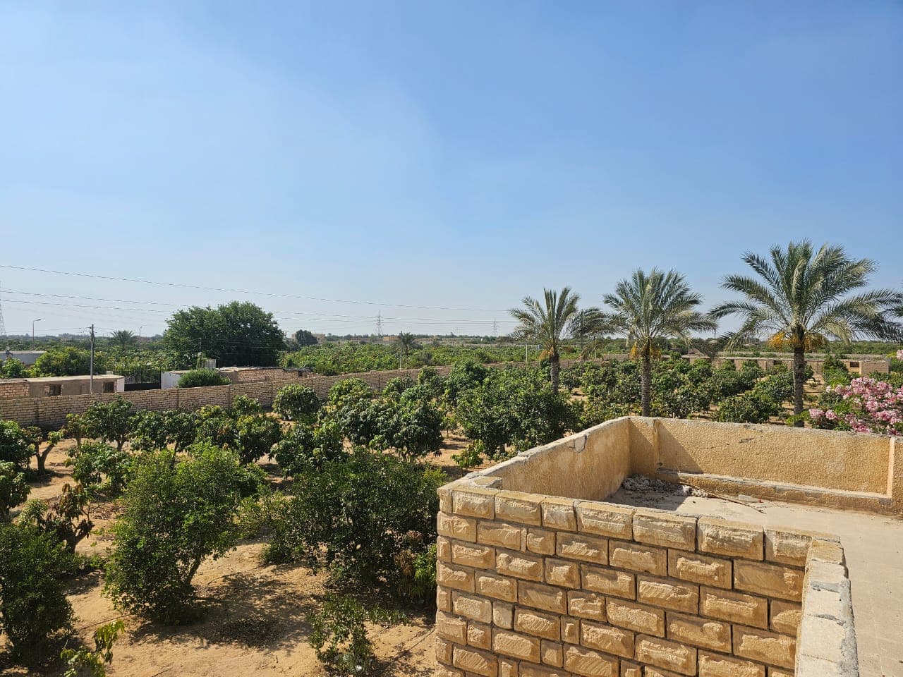 Farm for sale in Wadi El Malak in Ismailia 0