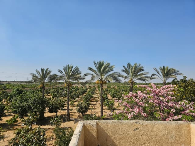 Farm for sale in Wadi El Malak in Ismailia