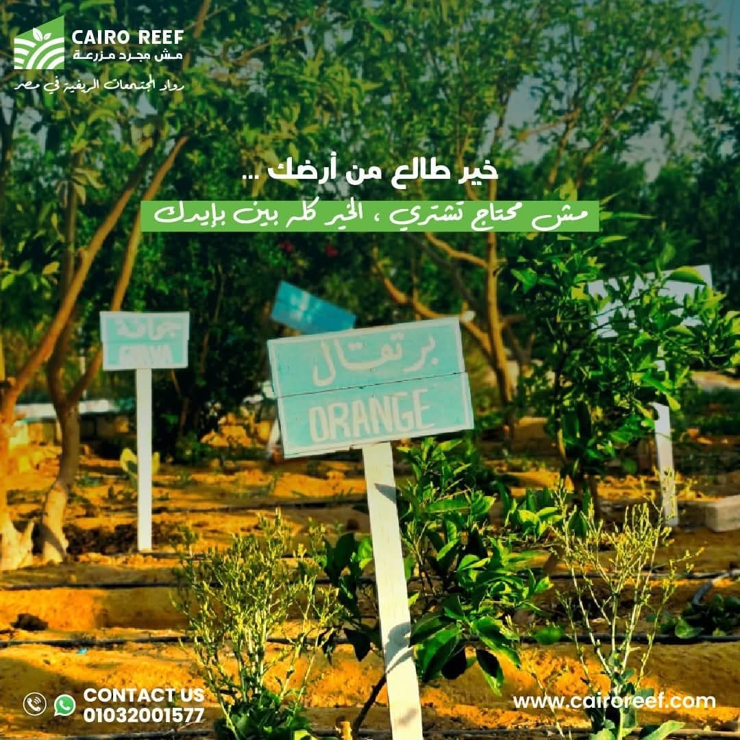 Farm for sale Ezbet Cairo 2  1