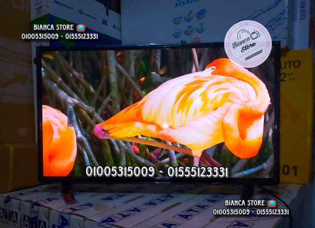 32 inch EG IPS screens for sale 