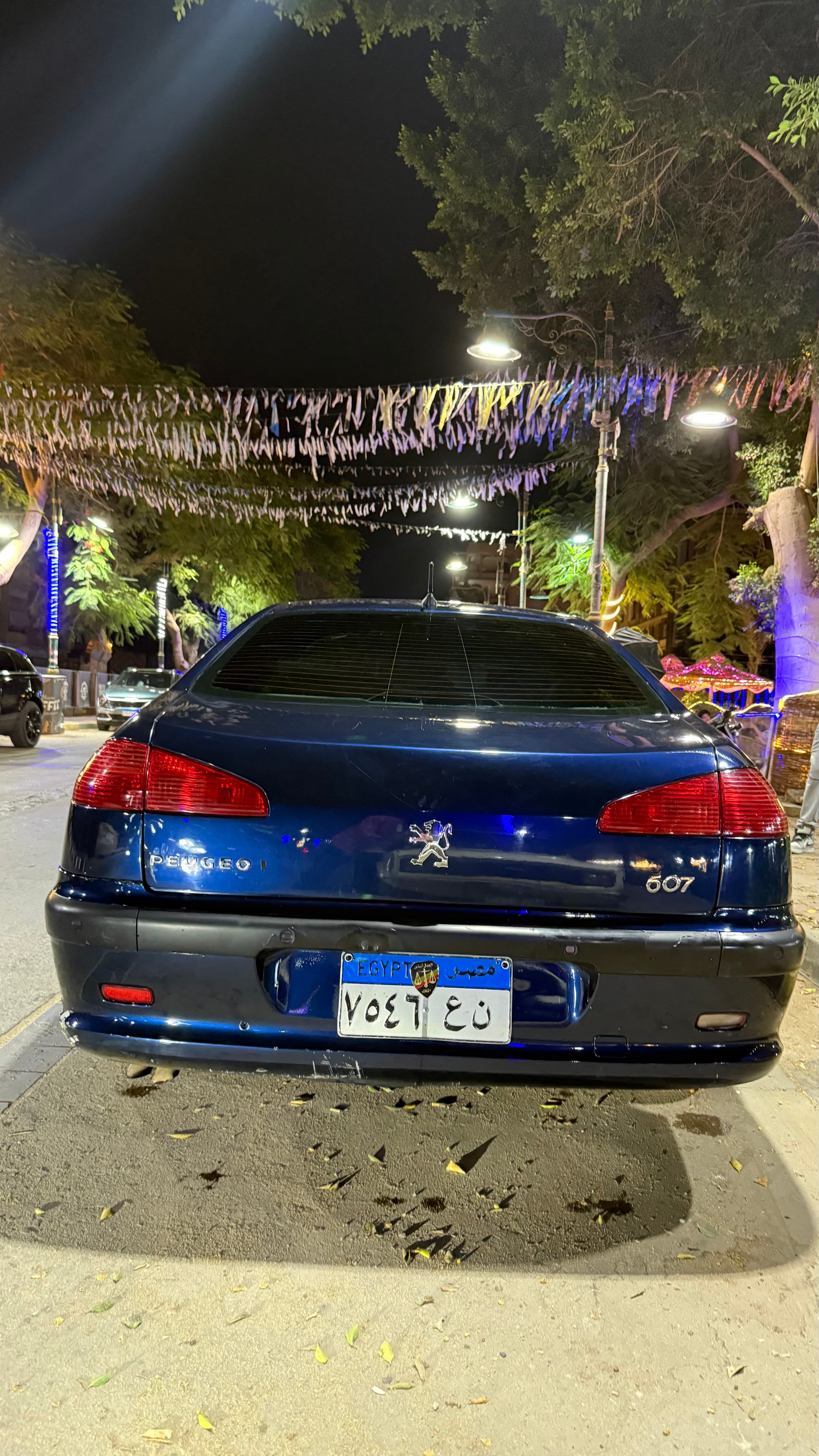 بيجو 607 موديل ٢٠٠٢ 8