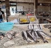 مطعم سمك بالمعدات للإيجار 35م   0