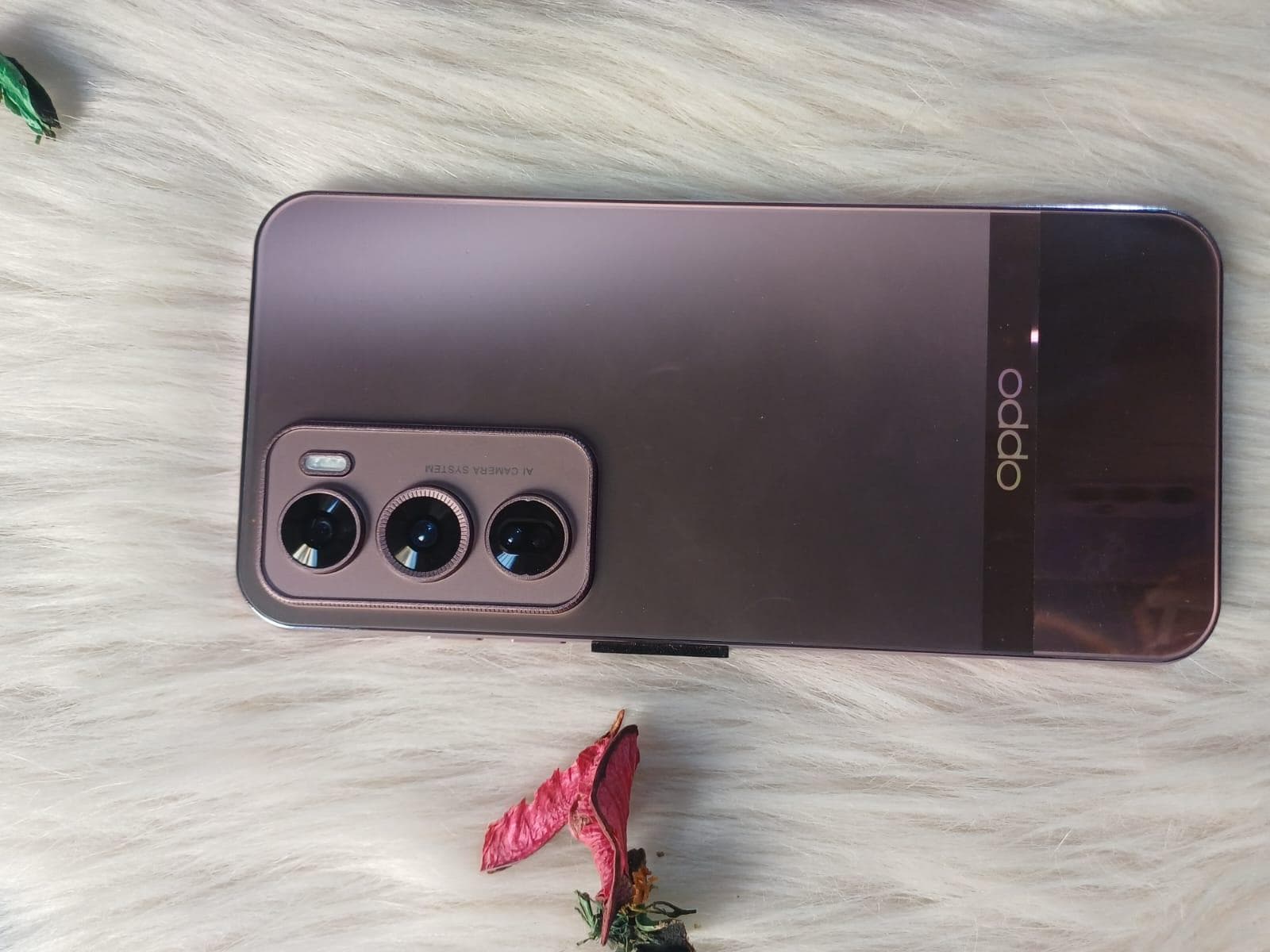Oppo Reno 12 pro 2