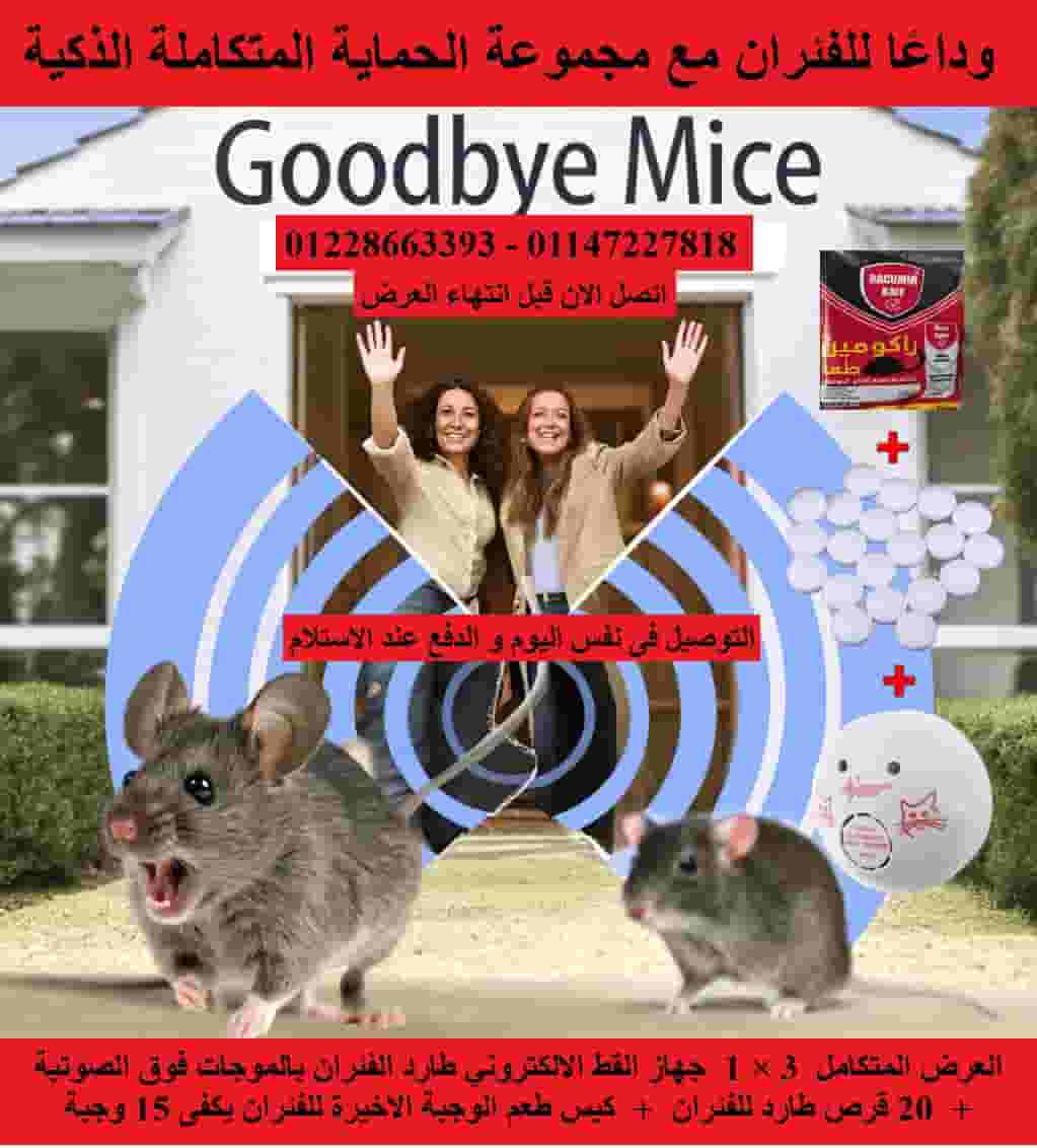 مكافحة حشرات مكافحة حشرات