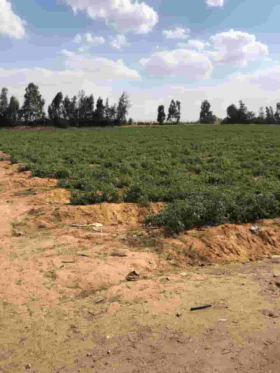 للبيع مزررعة على طريق مصر إسكندرية الصحراوي للبيع مزررعة على طريق مصر إسكندرية الصحراوي