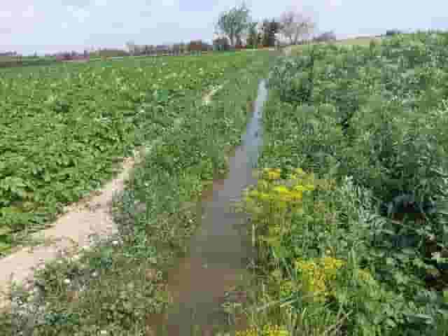 For sale a 2000 acre farm with full facilities - Wadi Natrun - a great location within Dina Farms For sale a 2000 acre farm with full facilities - Wadi Natrun - a great location within Dina Farms