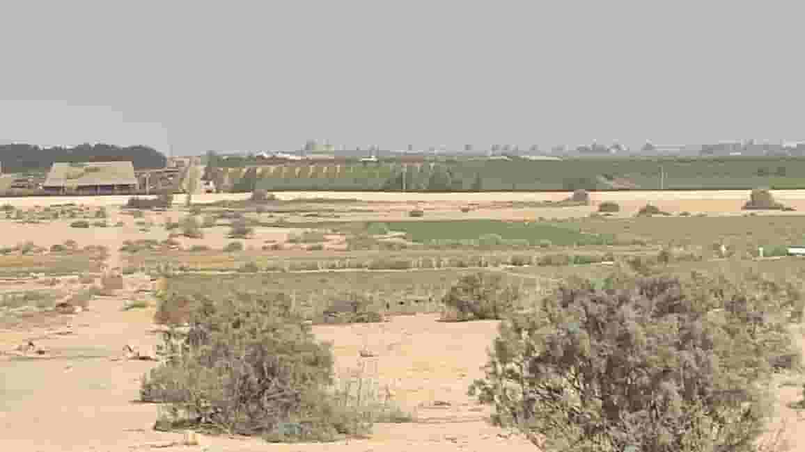 For sale a farm of 2000 acres - Wadi Natrun For sale a farm of 2000 acres - Wadi Natrun